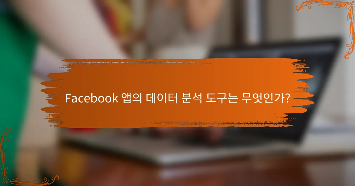 Facebook 앱의 데이터 분석 도구는 무엇인가?